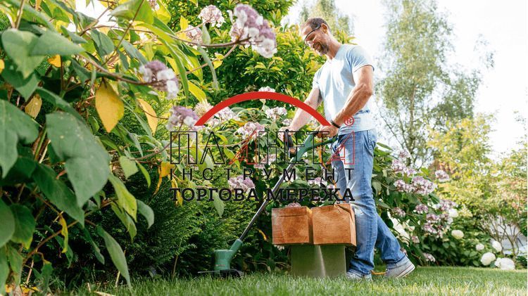 Тример EasyGrassCut 23 Bosch (06008C1H01) 06008C1H01 фото