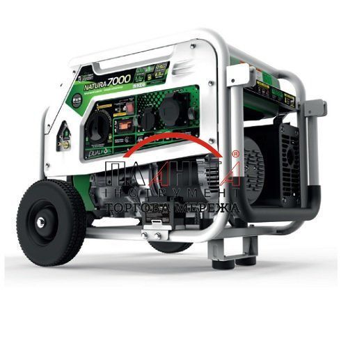 Бензо-газовий генератор GENERGY NATURA 7000 7/6 кВт (240027090) 240027090 фото