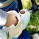 Косарка Stihl FS 45 41400112360 фото 5