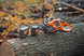 Пила Husqvarna 550iXP без АКБ та ЗП (9707458-15) 9707458-15 фото 21