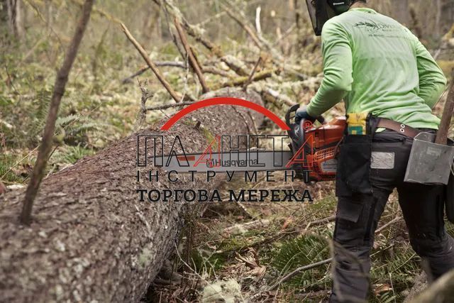 Бензопила Husqvarna 585 (9704930-30) 9704930-30 фото