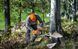 Бензопила Husqvarna 450S (9707026-15) 9707026-15 фото 7